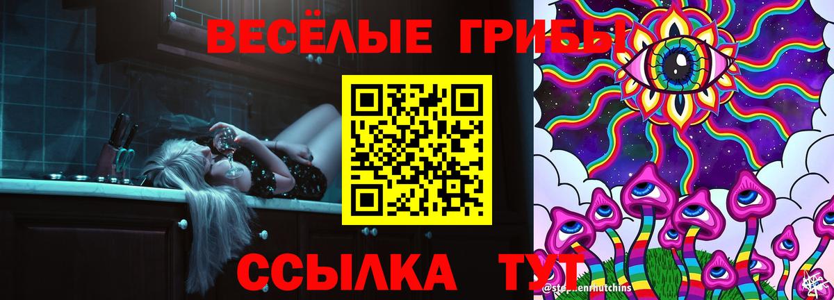 Гусев  Галлюциногенные грибы мухоморы  Вход с VPN 